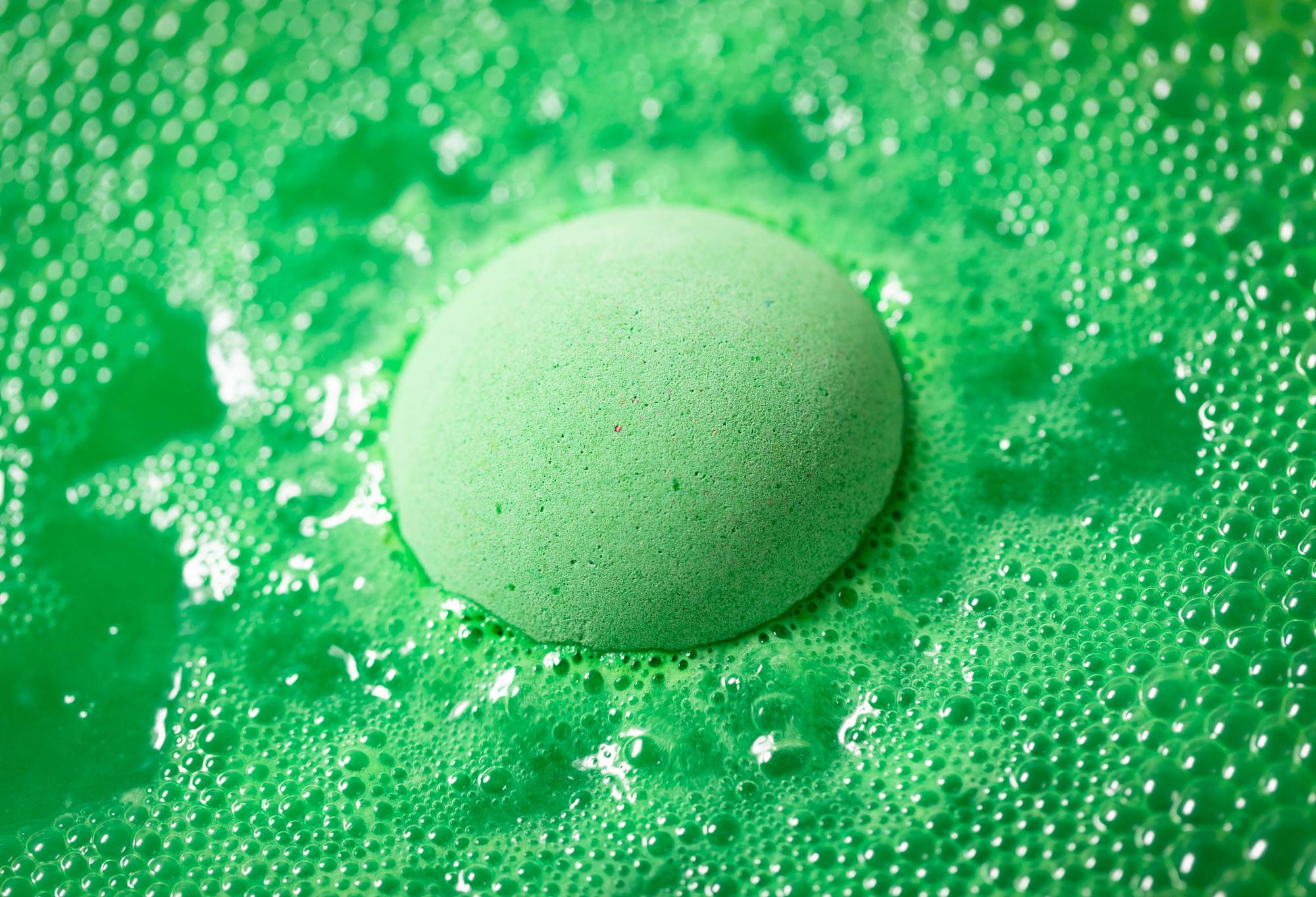 Wild Remedy - Image 2