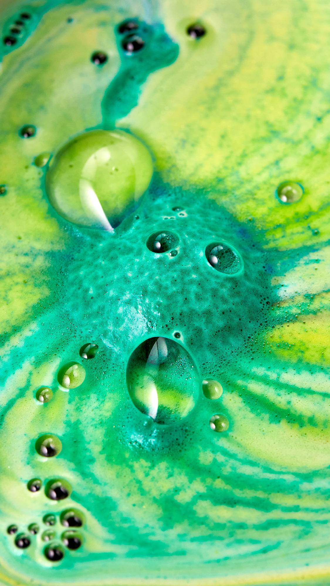 Chelsea Morning - Image 3