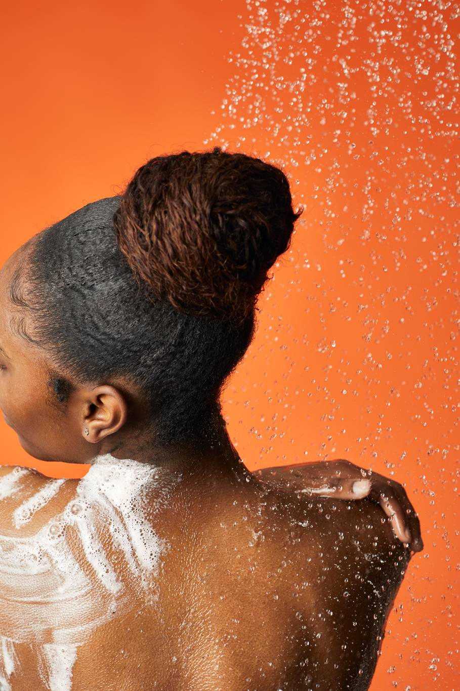 The Olive Branch - Image 2