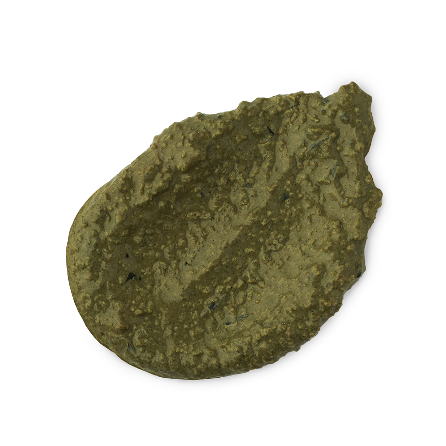 Lazy Lawrence Pixie Pony